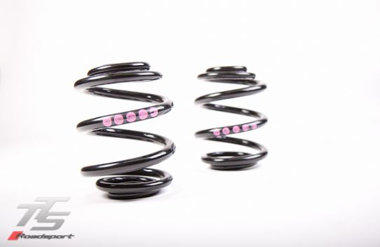 40014 - Audi TT Quattro Rear Springs - 5 Violet
