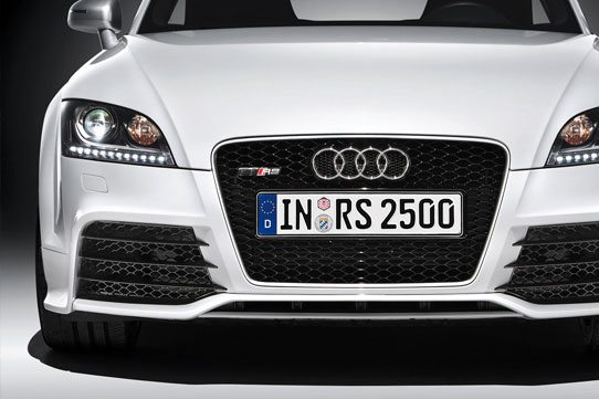 620017 - TTRS Front Grille