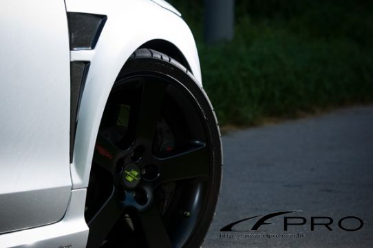 701900 - CF PRO Whole Carbon Fender Kit