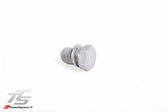 80001 - Sump Plug