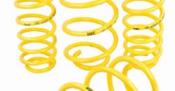 2000027 - Apex Lowering Springs - Quattro