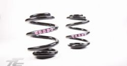 40014 - Audi TT Quattro Rear Springs - 5 Violet
