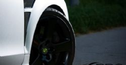 701900 - CF PRO Whole Carbon Fender Kit
