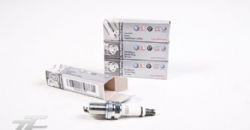 80004 - Spark Plugs